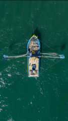 Pescar sem licença é crime: veja como regularizar sua atividade