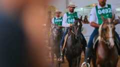 Descubra a marcha batida, o movimento mais famoso do Mangalarga Marchador