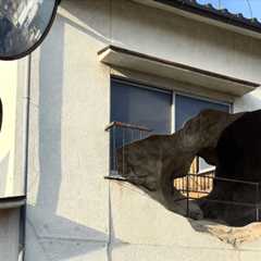 On a Volcanic Japanese Island, a Local Art Collective Has Transformed a House Into a Geothermal Cavern