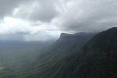 Image of rainforests in Northeast NSW. Photographer: Chris Reid