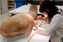 Mummified human remains