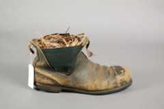 O.74250 Grey Shrikethrush nest in a boot April 2017 BE005