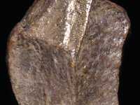 Oldowan stone tool cast