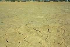 Simpson Desert Expedition 2015