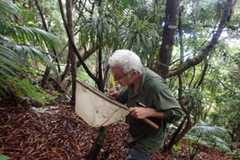 Chris Reid -  Field work on Lord Howe Island 