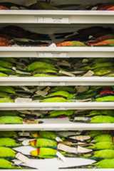 Ornithology Collection Area 2018