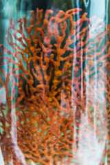 Marine Invertebrates Collection Area 2018