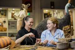 Education 2016 Stock