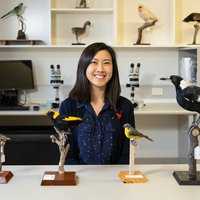 Profile picture of Ornithology Staff