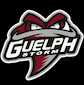 Guelph Storm