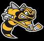 Sarnia Sting