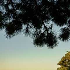 Just Back From: A Korean Honeymoon in Seoul and Jeju