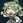 miyabi_sunsun