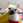 sdd_by_ftro
