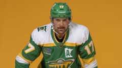 Foligno Wild78s