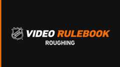 Video Rulebook: Roughing