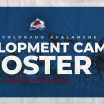 Avalanche Announce 2025 Development Camp Roster