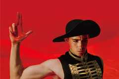 落下の王国 4Kデジタルリマスターの評論