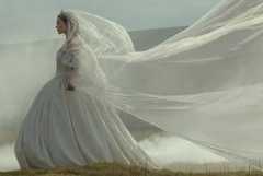 嵐が丘の注目特集