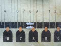 Two otoliths on ruler