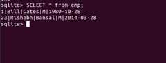 python sqlite3 insert data