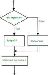 if-else-statement-in-Python