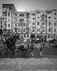 © Sara Tarek - Egypt