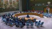 Secret behind UNSC Gaza resolution controversy