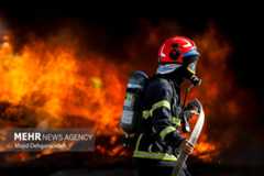 عکس‌های منتخب شهریورماه ۱۴۰۴