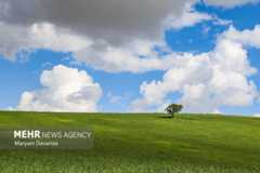 لحظه‌های گم شده