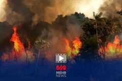 احتمال آتشسوزی دوباره در جنگلهای الیت