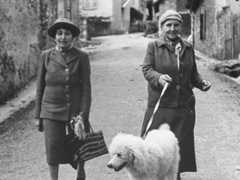 Strangers in Paradise