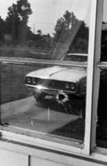 A window with a bullet hole reflecting a driveway and automobile