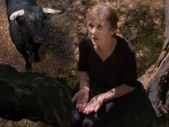 “Fire of Wind” Is a Bold and Inspired Début