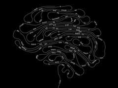 The Case That A.I. Is Thinking