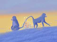 Animals Say Hello, but Do They Say Goodbye?