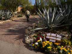 The Disappearance of Nancy Guthrie