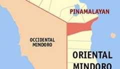 Mindoro power co-op exec shot dead