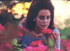 Image may contain Lana Del Rey Face Human Person Flower Petal Plant and Blossom