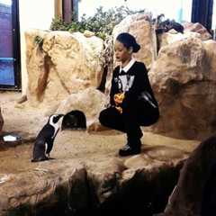Image may contain Animal Bird Penguin Human Person Clothing and Apparel