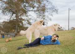 Image may contain Plant Grass Human Person Animal Mammal Dog Pet Canine and Sheep