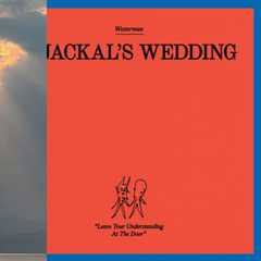 A Jackal’s Wedding
