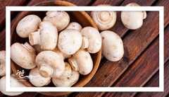 قارچ‌ها؛ دوست قلب شما؟ فواید تازه برای سلامت قلبی-متابولیک