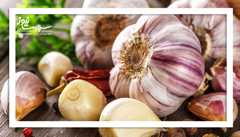 آیا سیر باعث لاغری می‌شود؟