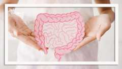 نقش میکروبیوم روده در تشدید یا بهبود علائم یائسگی