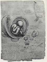 Leonardo da Vinci