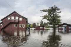 Flom i Arendal