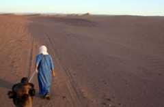 Sahara