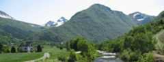 Oselva