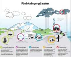 Viktigste påvirkningsfaktorer på natur